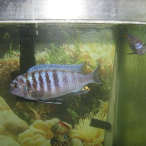 IMG_0255_1_.JPG