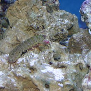 IMG_0426.JPG