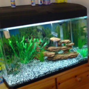 tank2.JPG