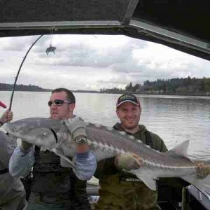 Sturgeon3.JPG