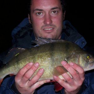big_perch_.jpg