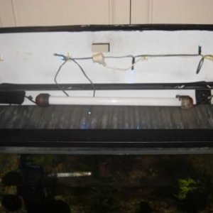 Platy_Tank_Front.jpg