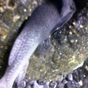 Image003.jpg