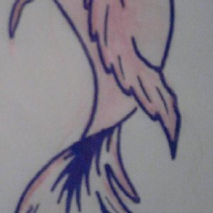 fish.JPG