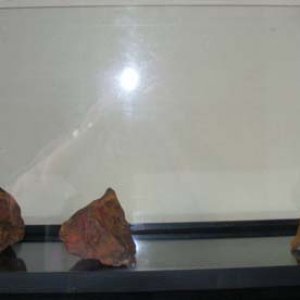 DSCF3474.JPG