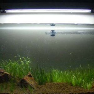 DSCF3503.JPG