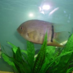 PICT0034.JPG