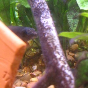IMG_1969.JPG