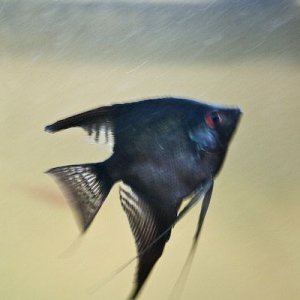 IMG_4204_8.jpg