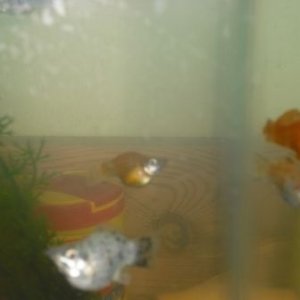 Fish_and_me_Pics_009.jpg