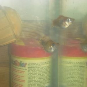 Fish_and_me_Pics_007.jpg