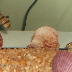 Picture_001.jpg