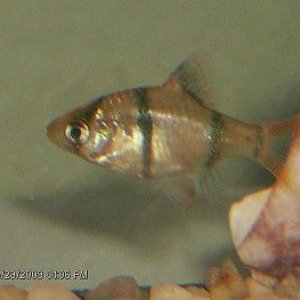 Picture_002.jpg