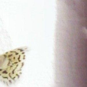 SP_A2704.jpg
