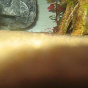 spot_007_small.jpg