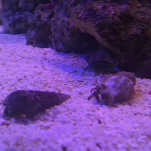 09072009049.jpg