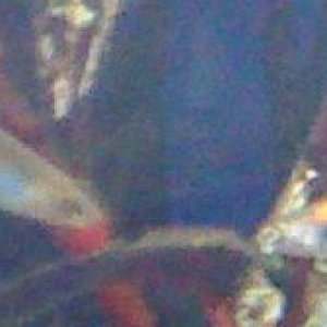 01.JPG