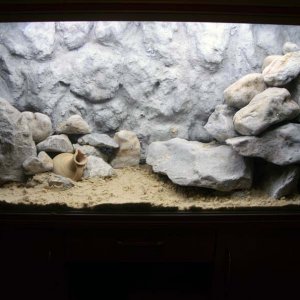 Tank2.jpg