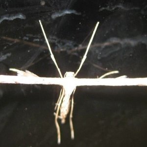 IMG_6134.JPG