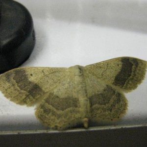 IMG_6228.JPG