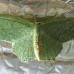 IMG_6277.JPG