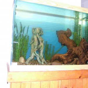 65g.jpg