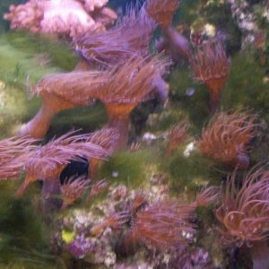 100_2099.JPG