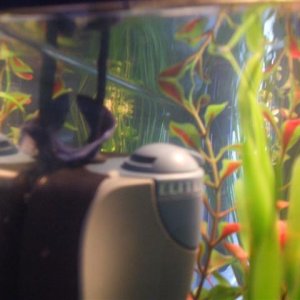 DSCF3555__Small_.JPG