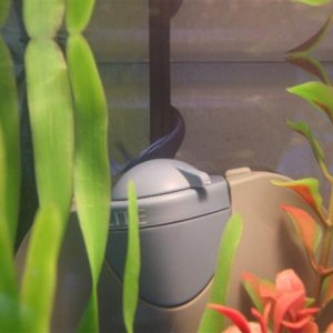DSCF3557__Small_.JPG