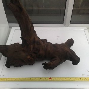Bogwood3.jpg