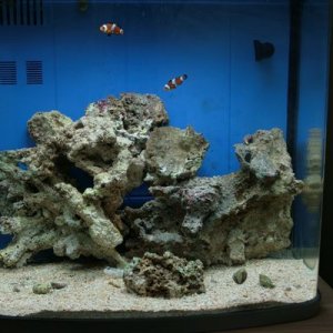 FTS.JPG