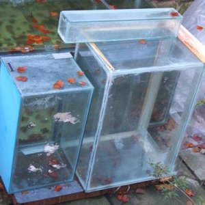 2009_1031Reef0001.JPG