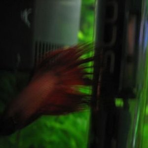 IMG_26610.jpg