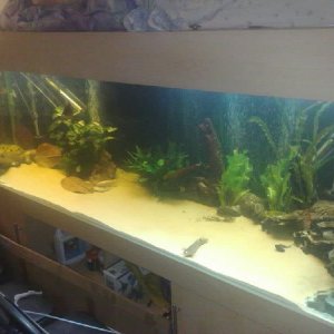 30.7footer.front right.jpg