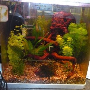 tank3.jpg