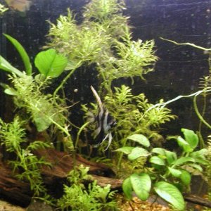 clair and aquarium 023.JPG