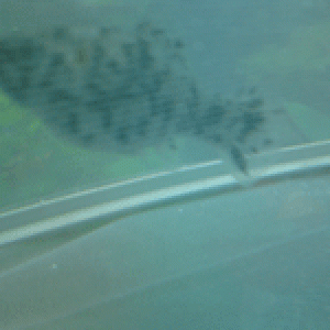 09012010050.gif