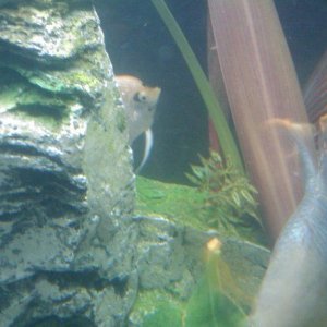 IMAG0208.jpg
