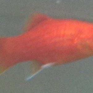 002.JPG