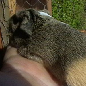 louise and ottis 002.JPG