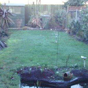 Tatty garden.jpg