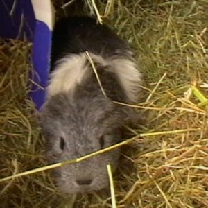 val becky liz 017.JPG