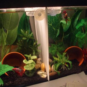DSCF4580 (Medium).JPG