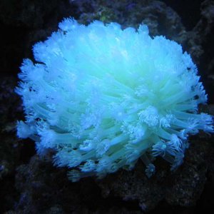 IMG_0052.jpg