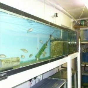 fishhouse2.jpg