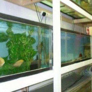fishhouse3.jpg