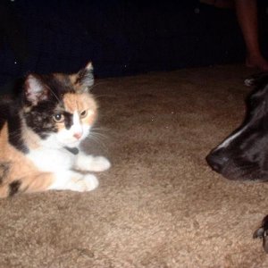 belle_and_lilly.JPG