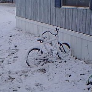 Image04.jpg