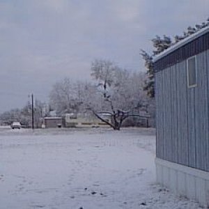 Image03.jpg