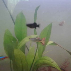IMG00525.jpg